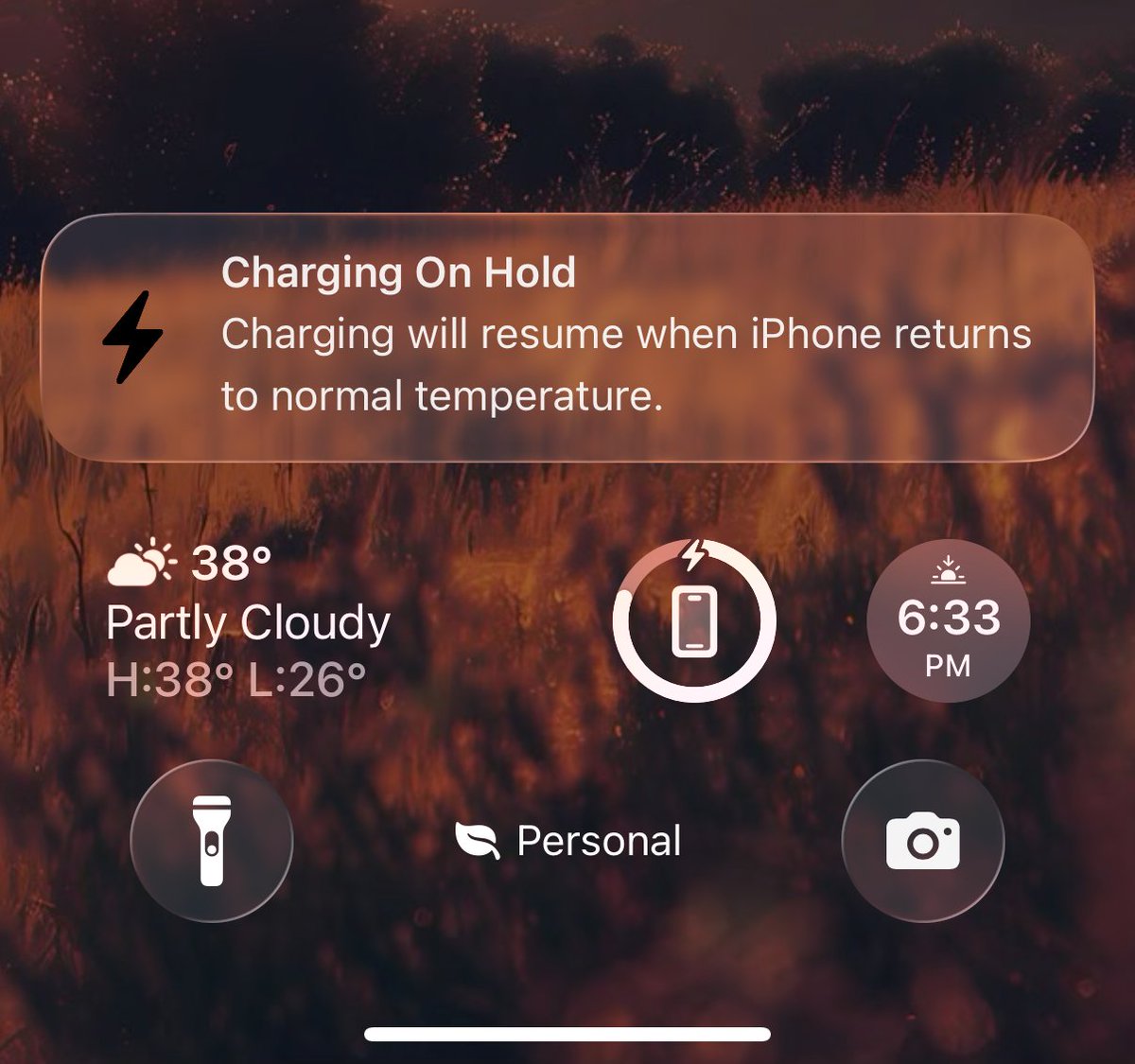 Noah Cat tweet media