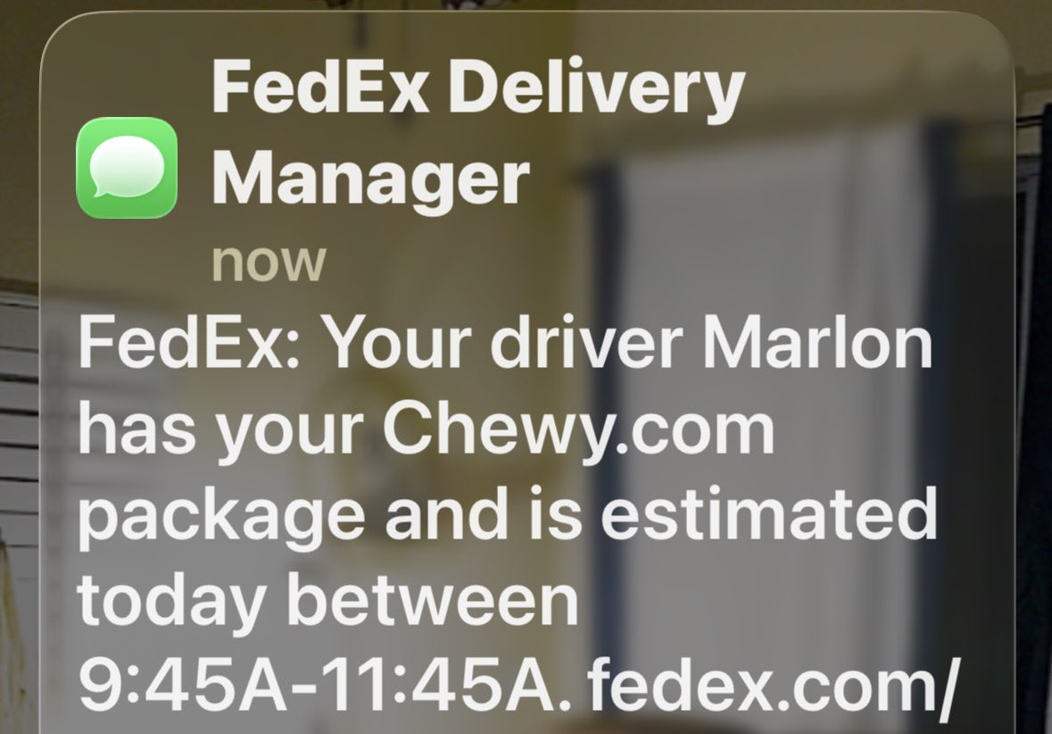 jekfowler's tweet photo. My squirrels love to see our @FedEx driver Marlon coming with a box of their favorite snacks!! https://t.co/mFgsqD7PBv