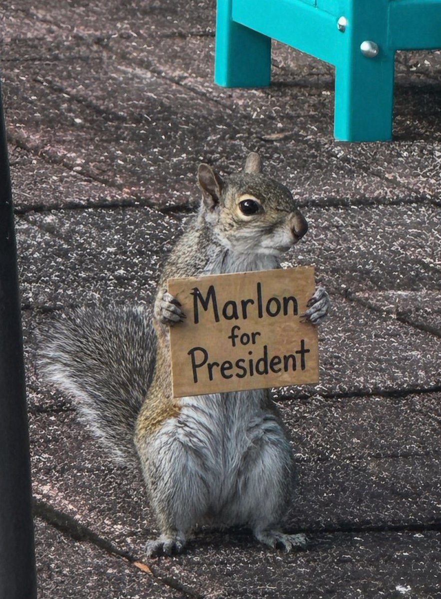 jekfowler's tweet photo. My squirrels love to see our @FedEx driver Marlon coming with a box of their favorite snacks!! https://t.co/mFgsqD7PBv