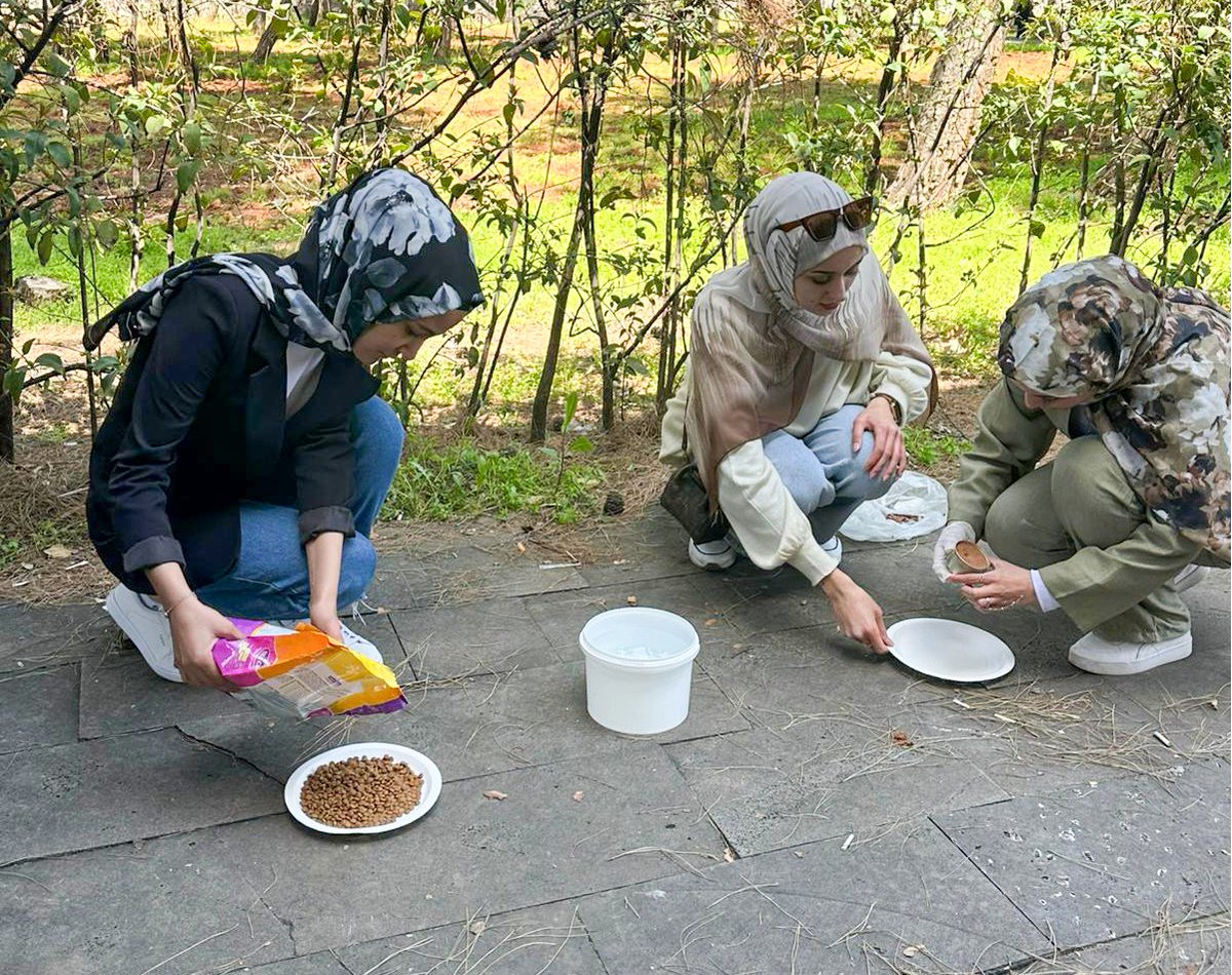 Gaziantep Üniversitesi TDP tweet media