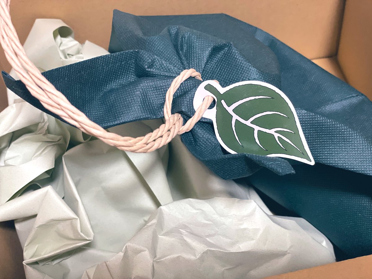 カチューシャして頭痛 tweet media