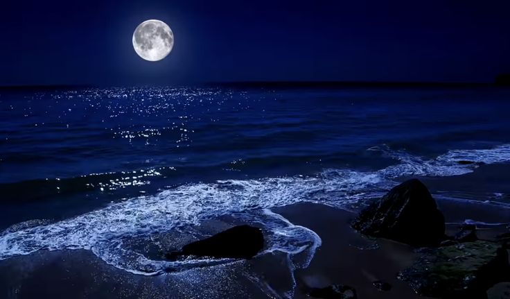 Moon (@moondailys) on X