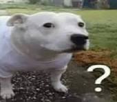 190joey_joey's tweet image. Great job guys! Truly a masterclass of #activism!