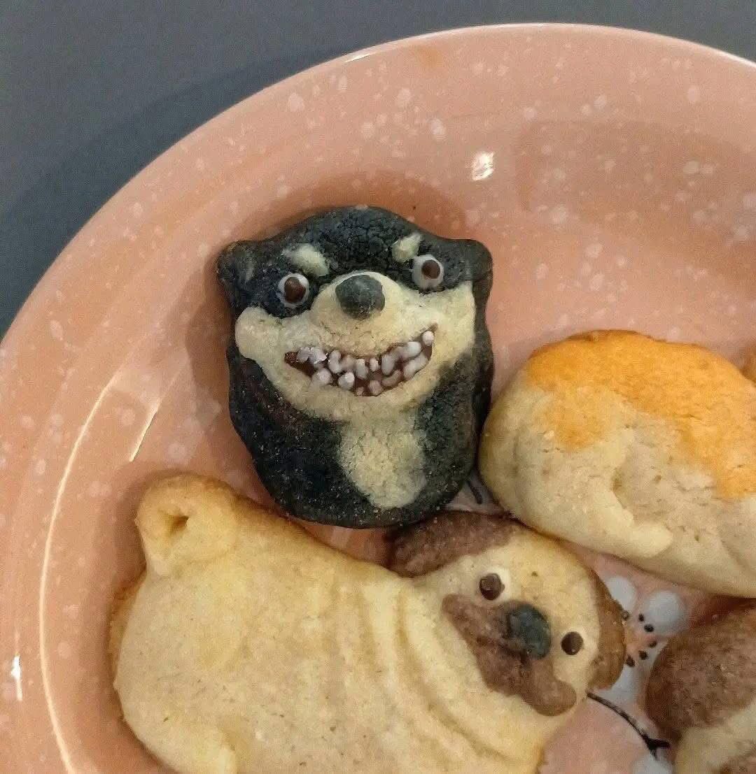 Dilo con perritos tweet media