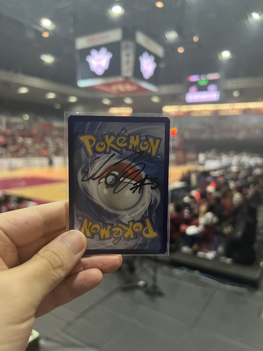 SEQYAMA tweet media