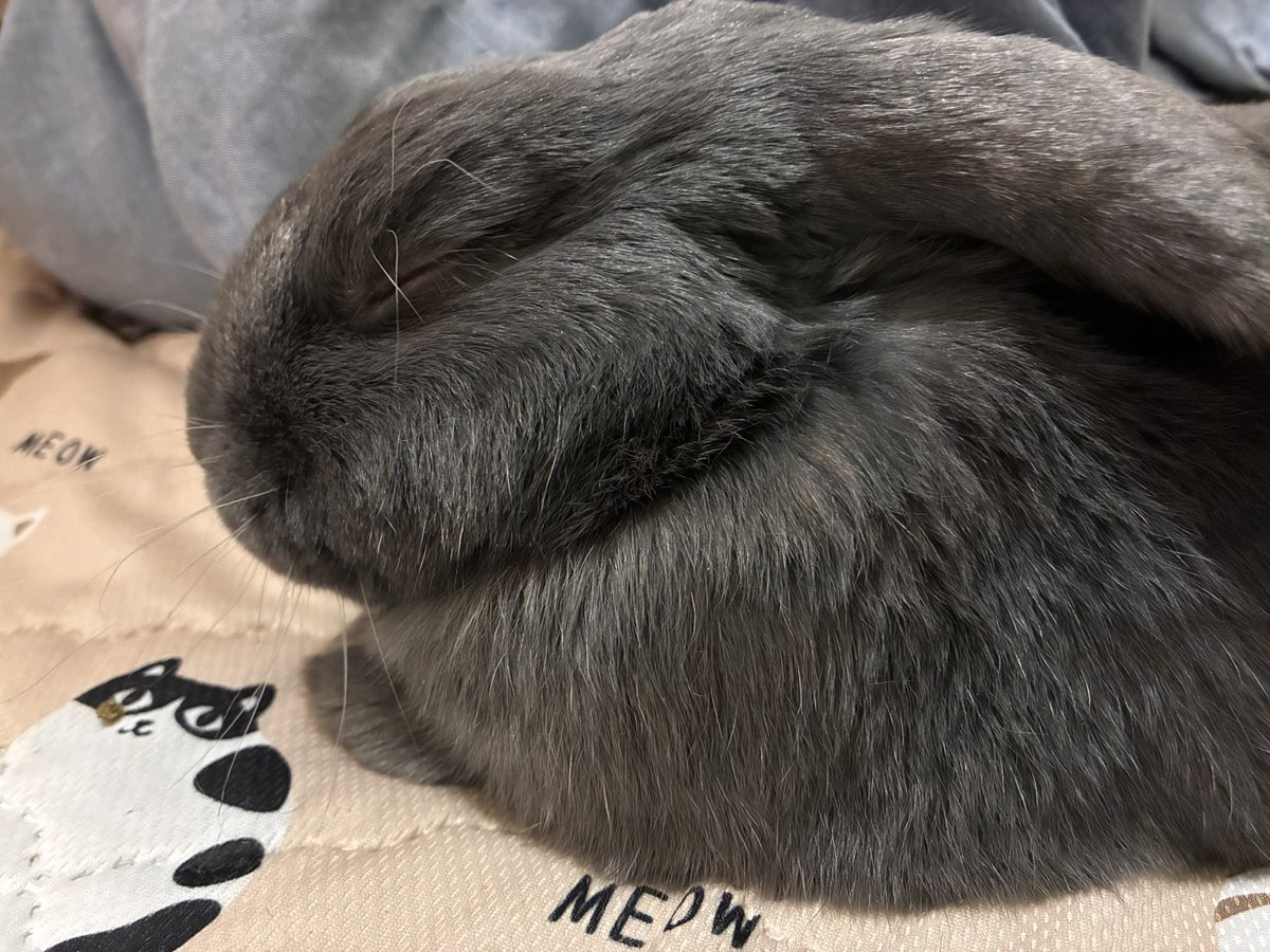 たてミクよこマク tweet media