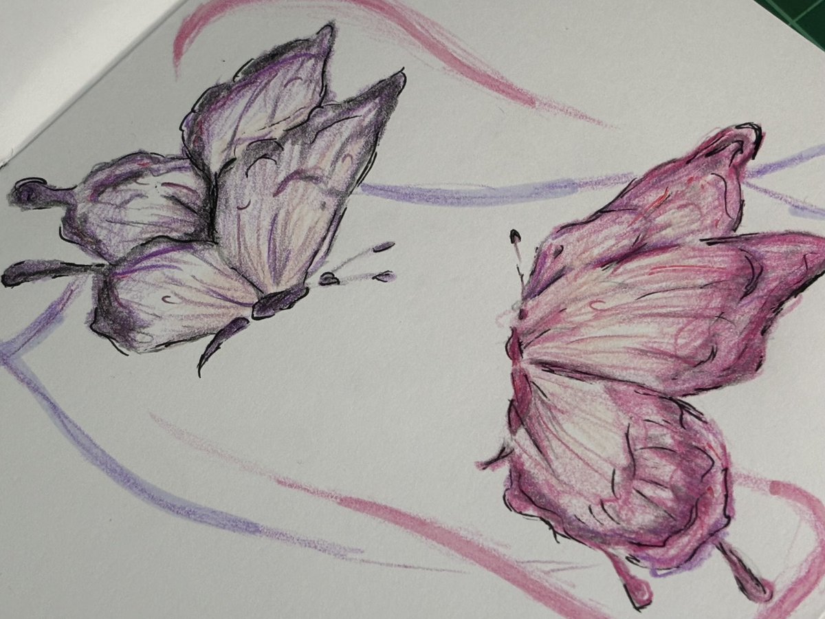 Michelle Levia tweet media