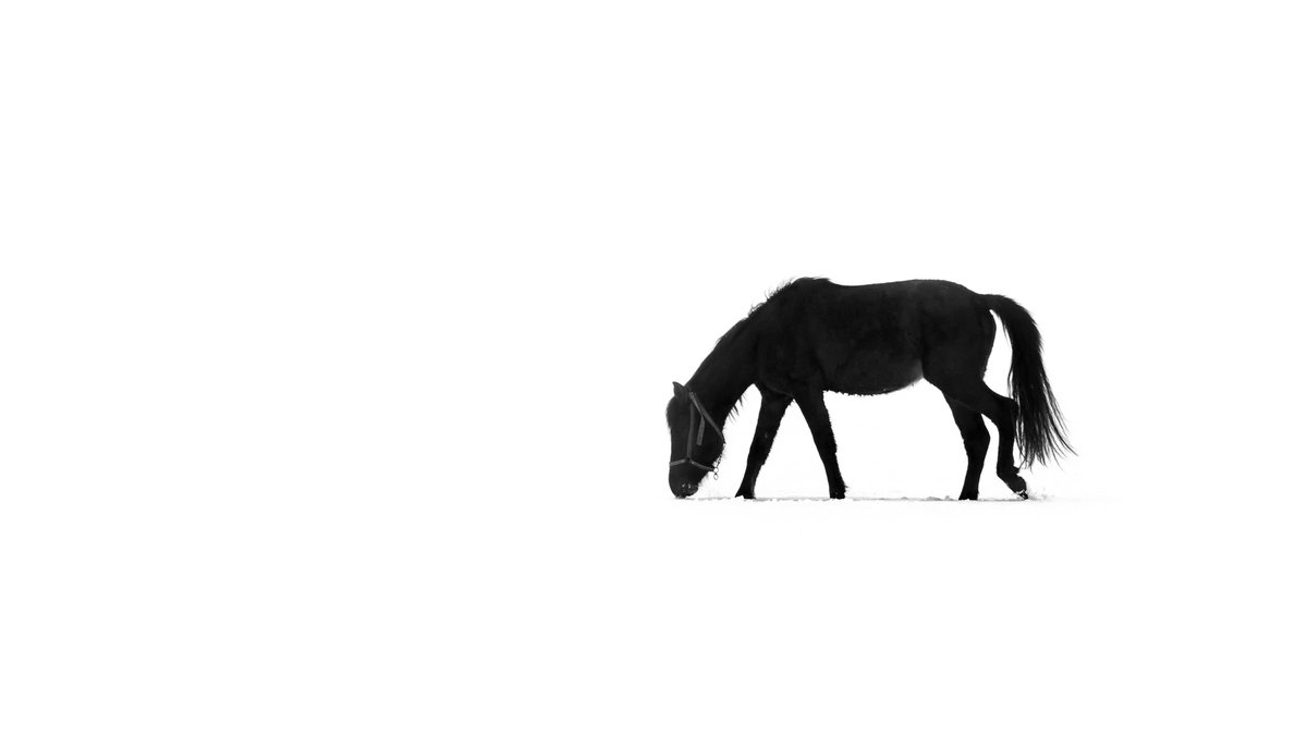 Mustafa Erbaş | NFT.NYC 24 / 25 tweet media