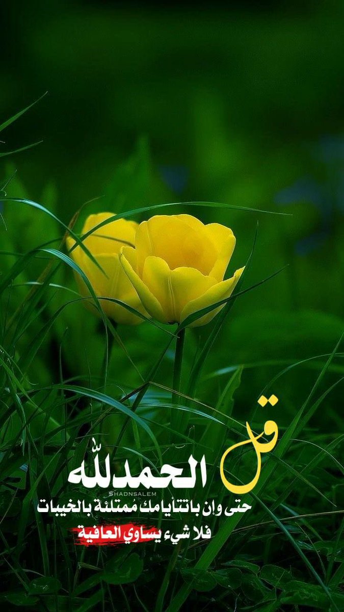 ام الغاااااااالي tweet media