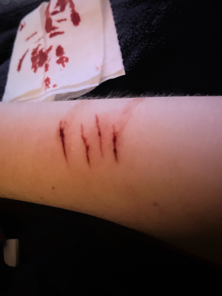 EVIL Jester || #shedtwt -recov tweet media