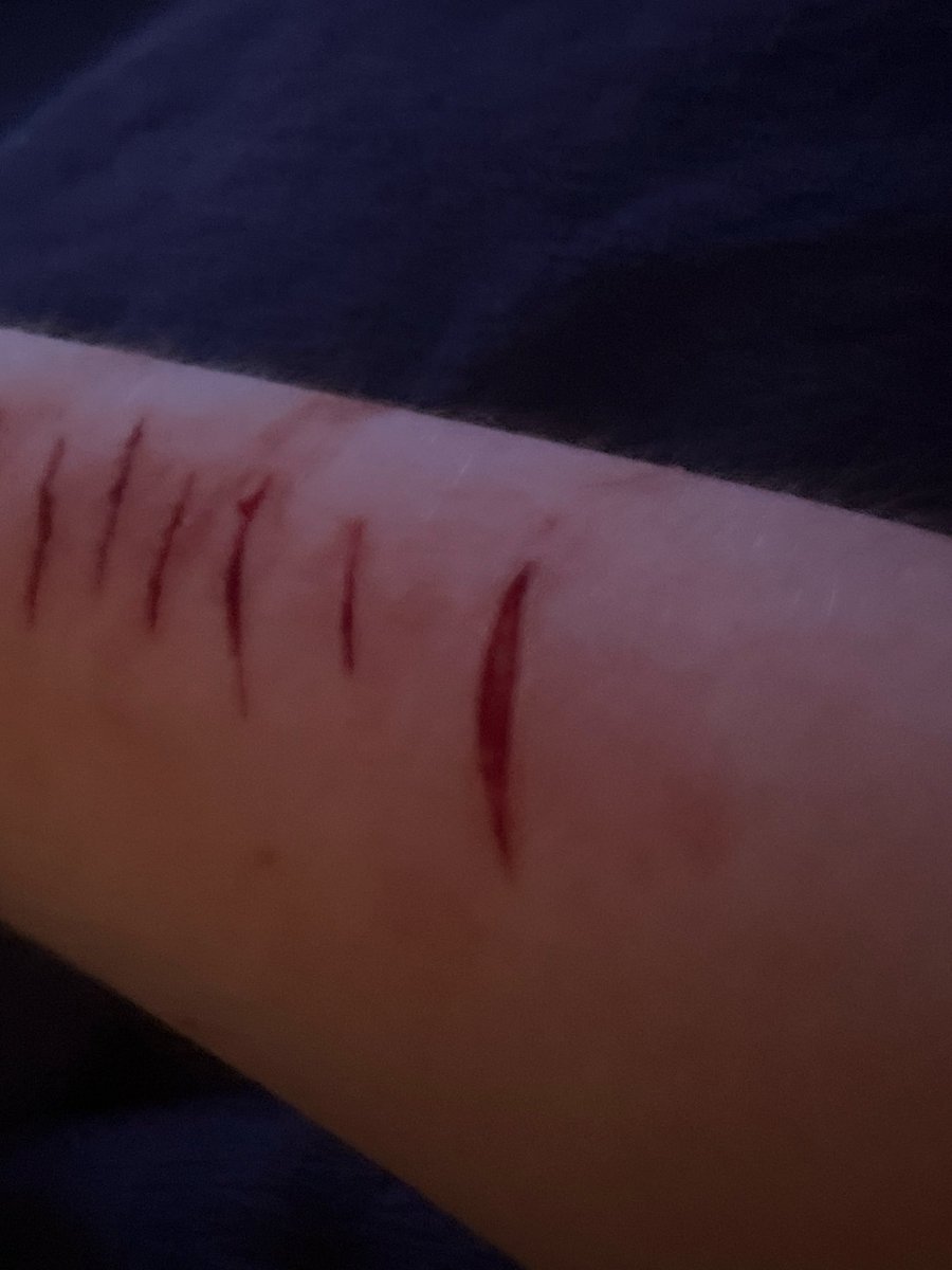 EVIL Jester || #shedtwt -recov tweet media