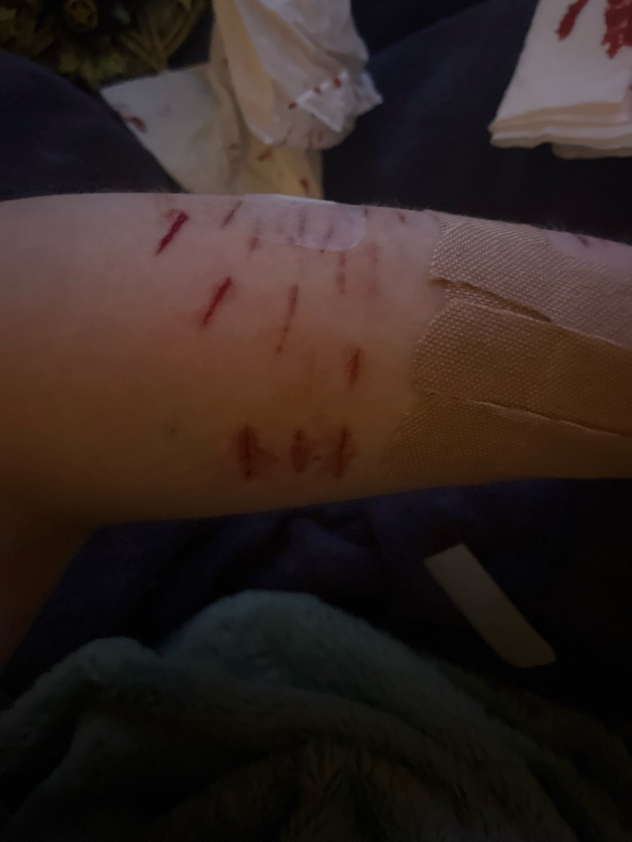 EVIL Jester || #shedtwt -recov tweet media