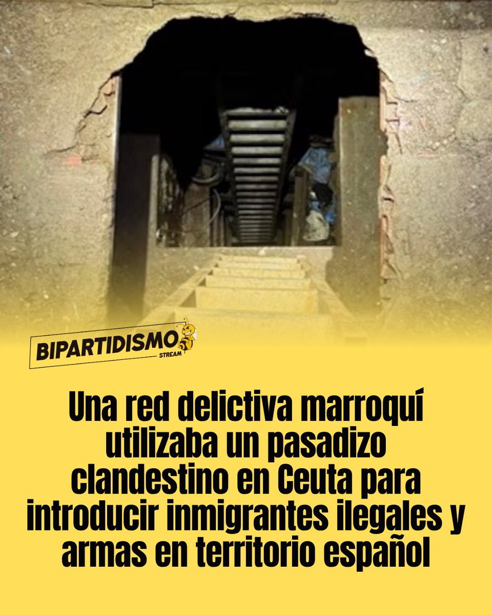 Bipartidismo Stream tweet media