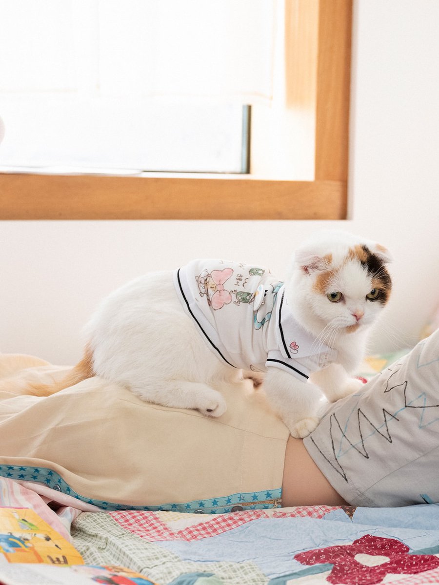 Mouka's tweet photo. I’m actually a cat lover, and look what I found! This kitty is so adorable that I’m seriously thinking about bringing it home forever. ≽^•˕• ྀི≼ I think I’ll keep it, but wait... Which one is the real cat here? Do you think it’s me or the one I’m holding? Tell me! 😼💬 https://t.co/bKAThrHfG0