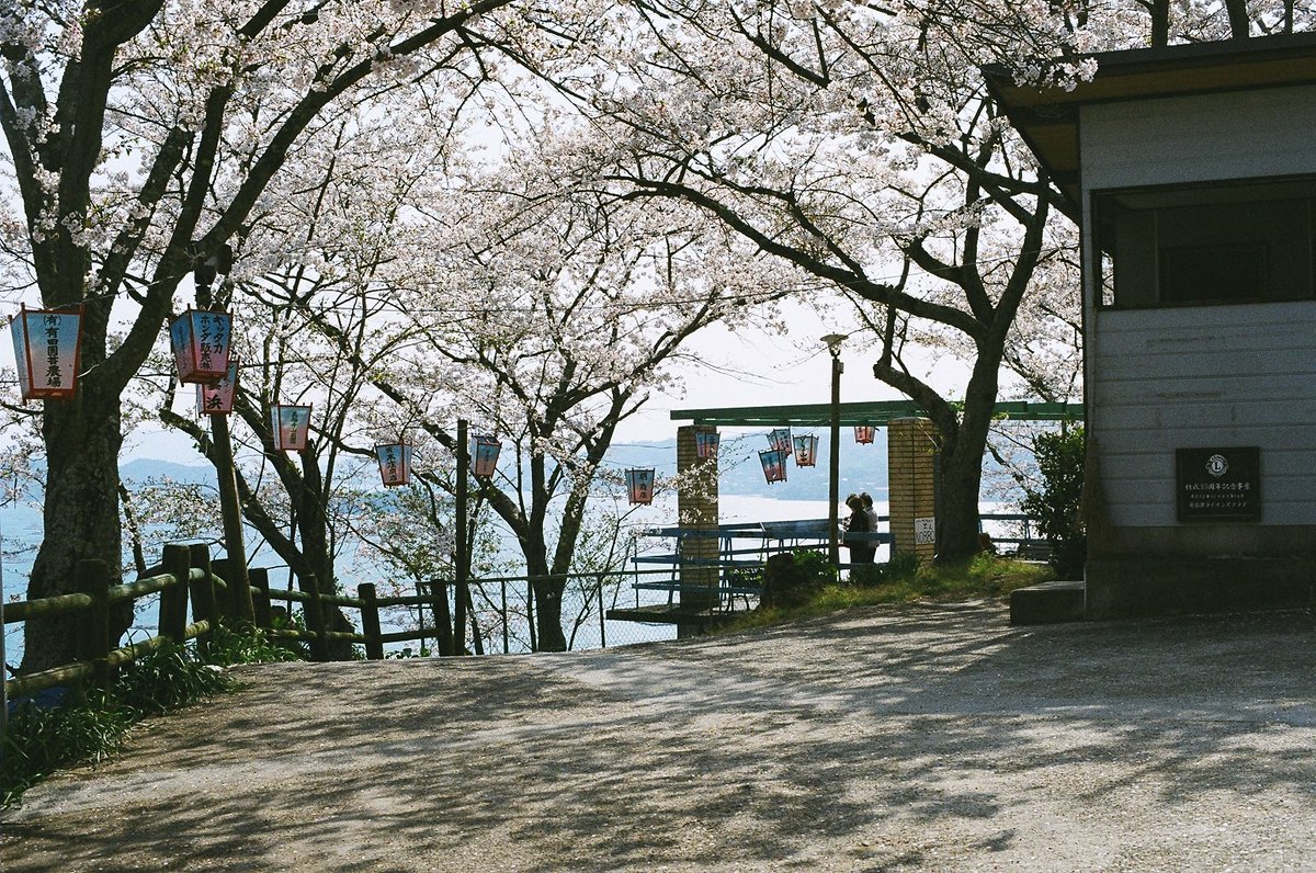 #長い生前葬
#フィルムカメラ