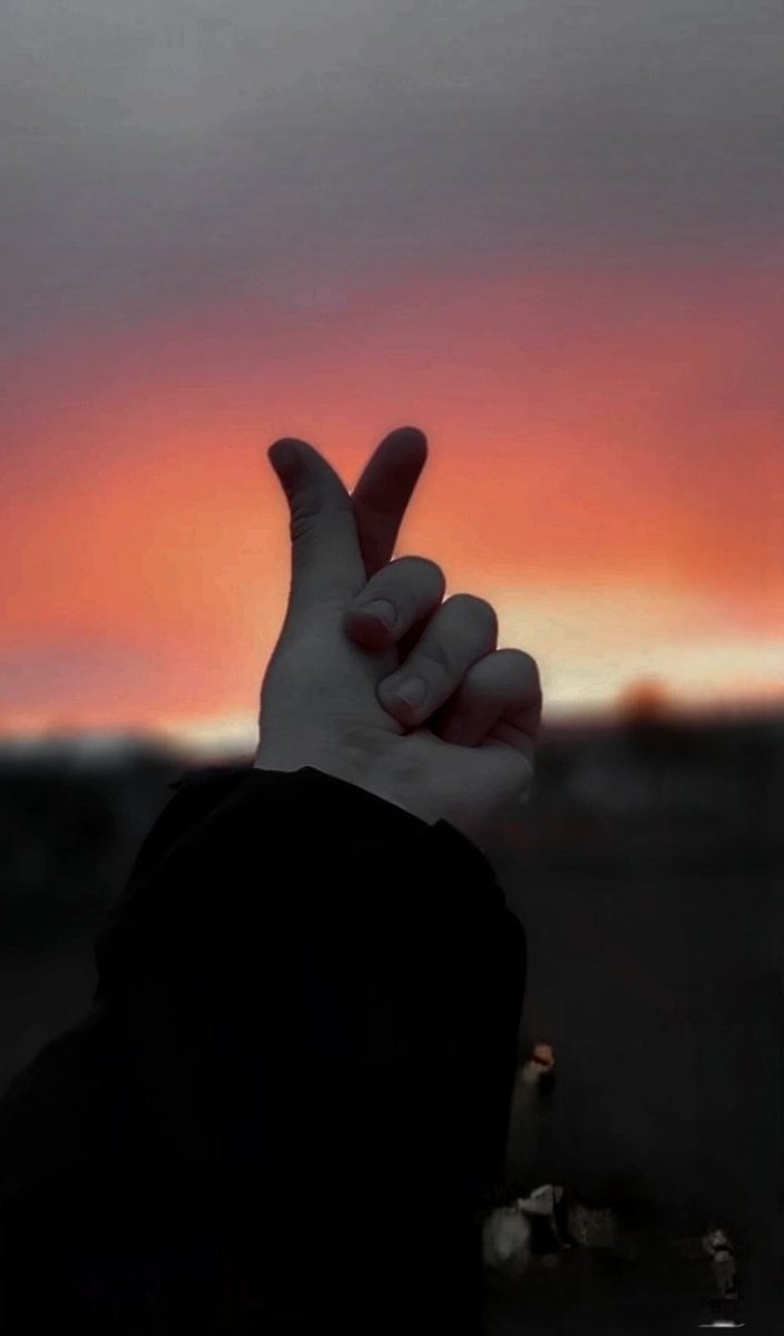 Leyl hira tweet media