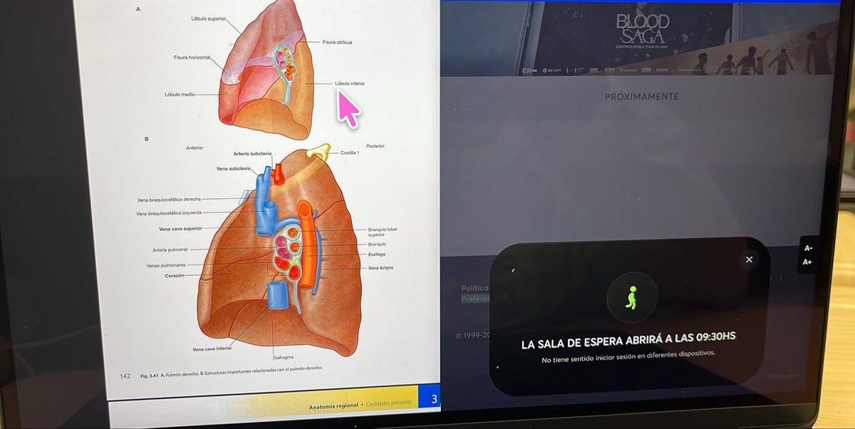 america ☆ tweet media