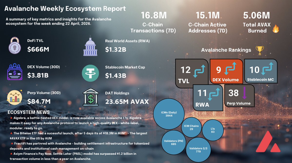 Joey 🔺 tweet media