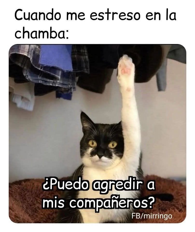 Pregunta seria 🤓⚠️