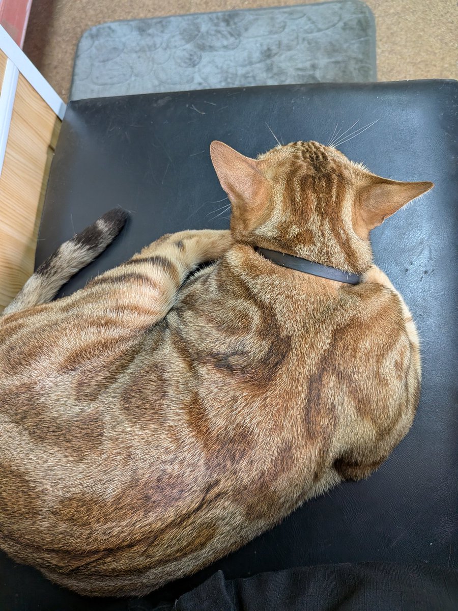 // val // 🇷🇺 tweet media