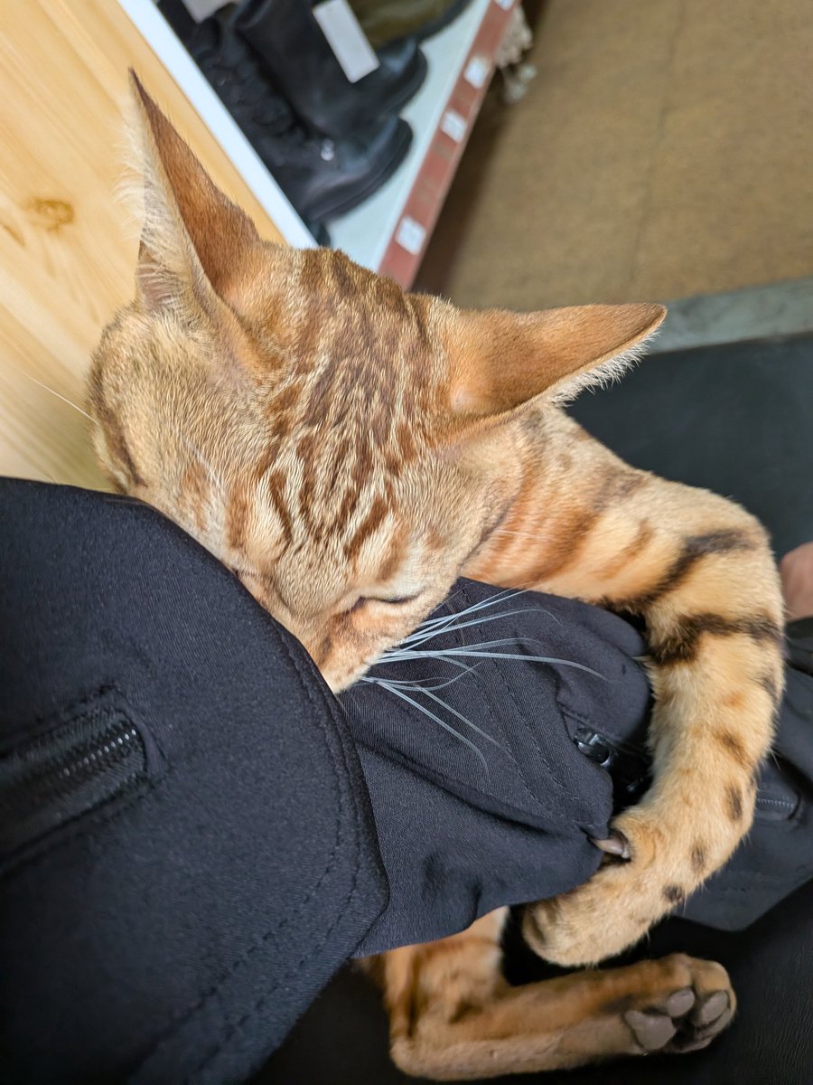 // val // 🇷🇺 tweet media