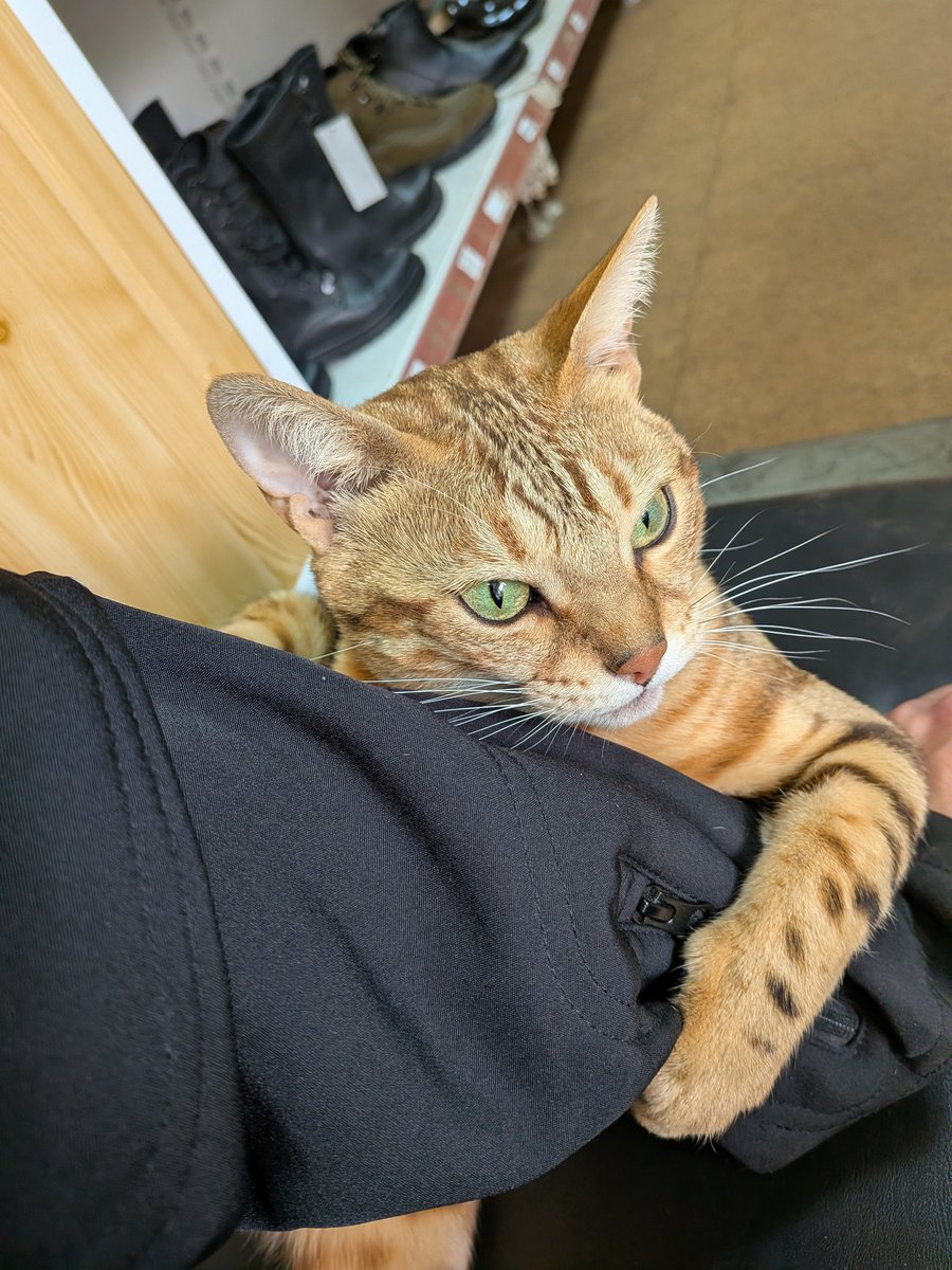 // val // 🇷🇺 tweet media