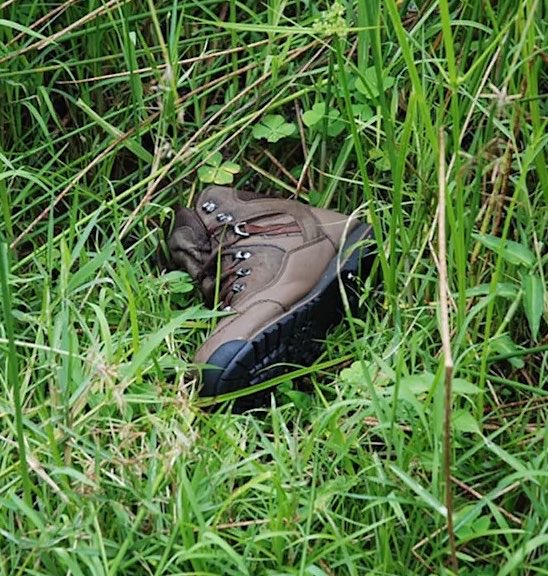 Creepy.org tweet media