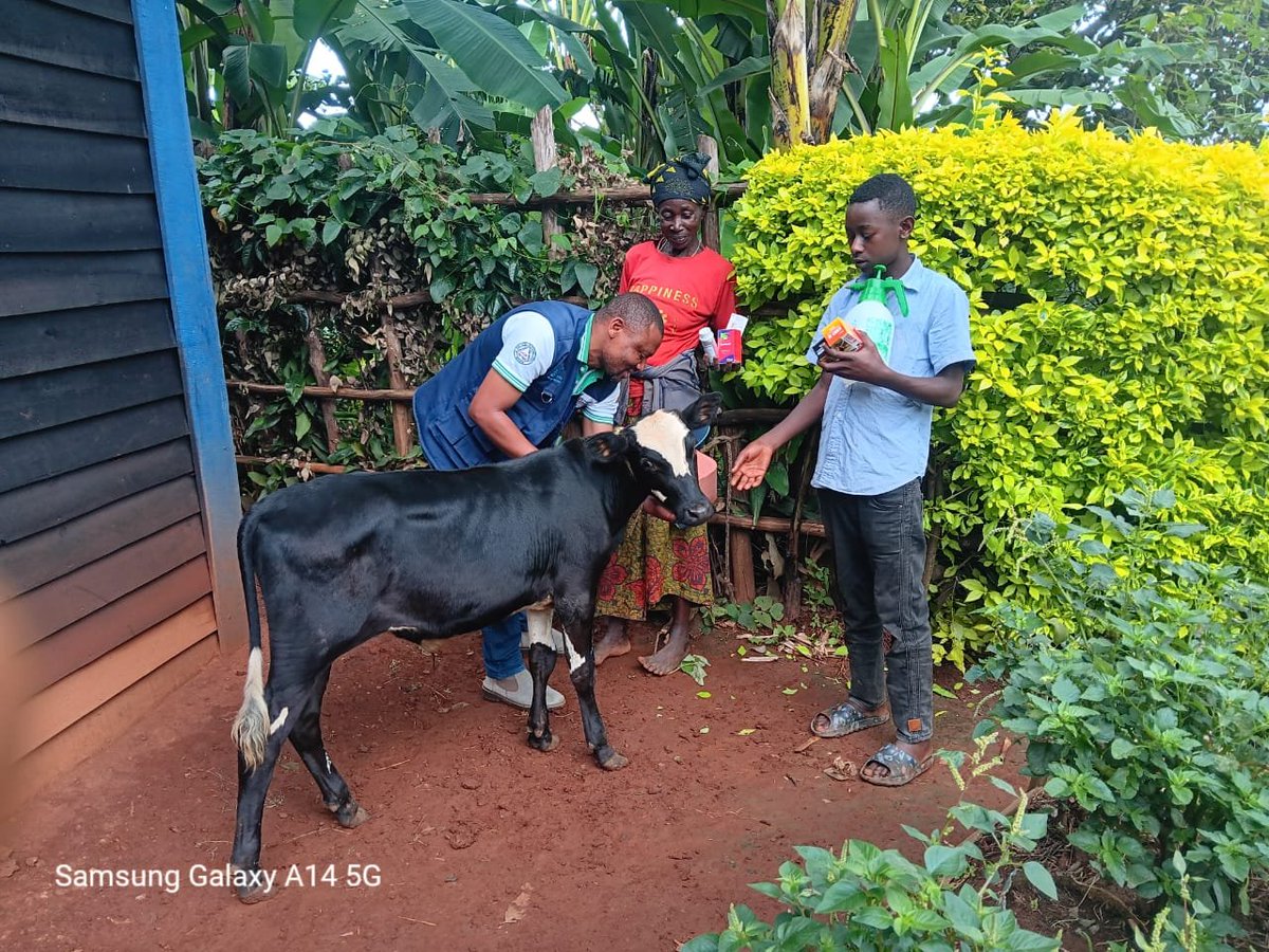 Sfrwanda1's tweet photo. This is how #SFR’s field officers in @RwandaWest support our project participants; traveling to remote areas in #Rusizi &amp; #Nyamasheke Districts, strengthening children’s education,promoting smart farming practices, and fostering hope and resilience within their families. @HHN_eV https://t.co/e75Exc2nT5