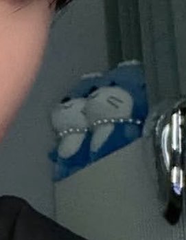 ʰʷа nя 야옹 tweet media