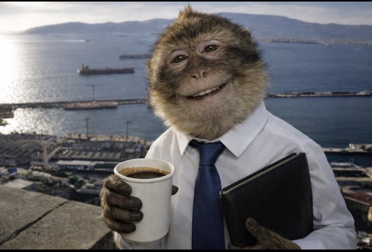 Juiceboxruler🐝 tweet media