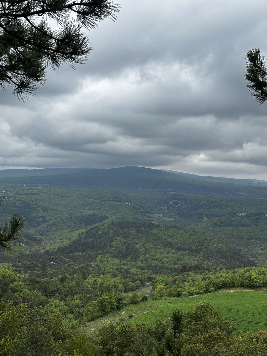 En livraison dans le 04 ce matin, vue sur la montagne de Lure 🥰
