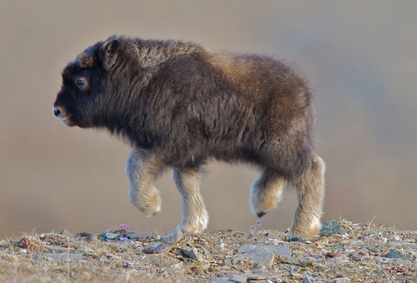 James R Us tweet media