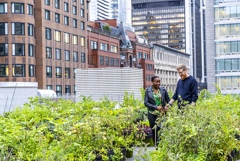 Mon Montréal tweet media