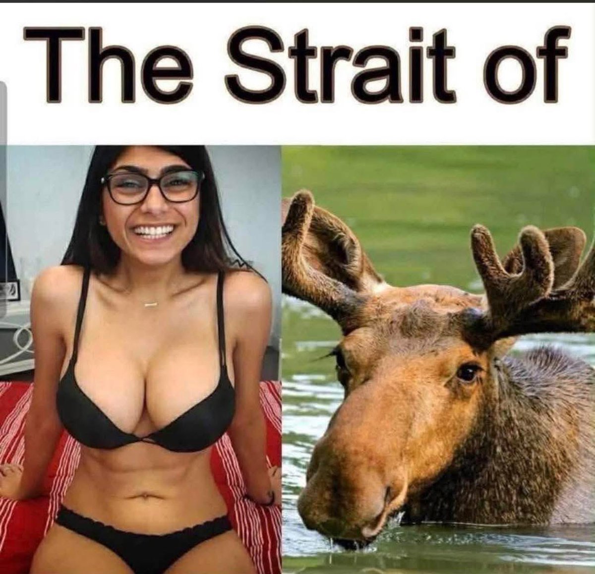 heavy business tweet media