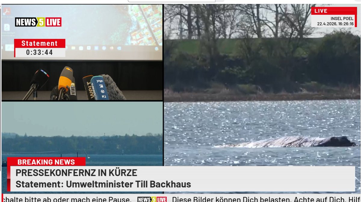 Pressekonferenz um 17:00 Uhr. 
Bis dato kam der Bildschirm im Hintergrund nur zum Einsatz wenn es darum ging, #Timmy krank zu reden und ihm jegliche Chance auf Rettung und/oder Leben abzusprechen. Zus. soll ein Antrag gegen die Rettung eingelangt sein.
Ich hoffe ich täusche mich.