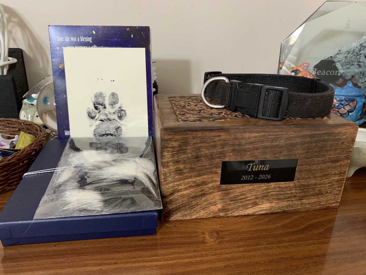 Tuna’s memorial art by Anyawolf and all his fur, prints, and memory pieces are finally here. I miss my boy so much 💔