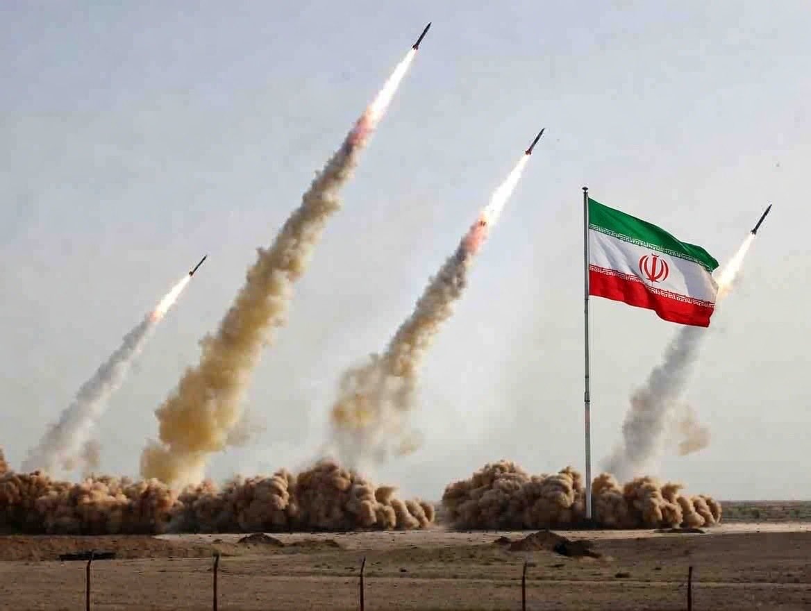 Wolf Brief tweet media