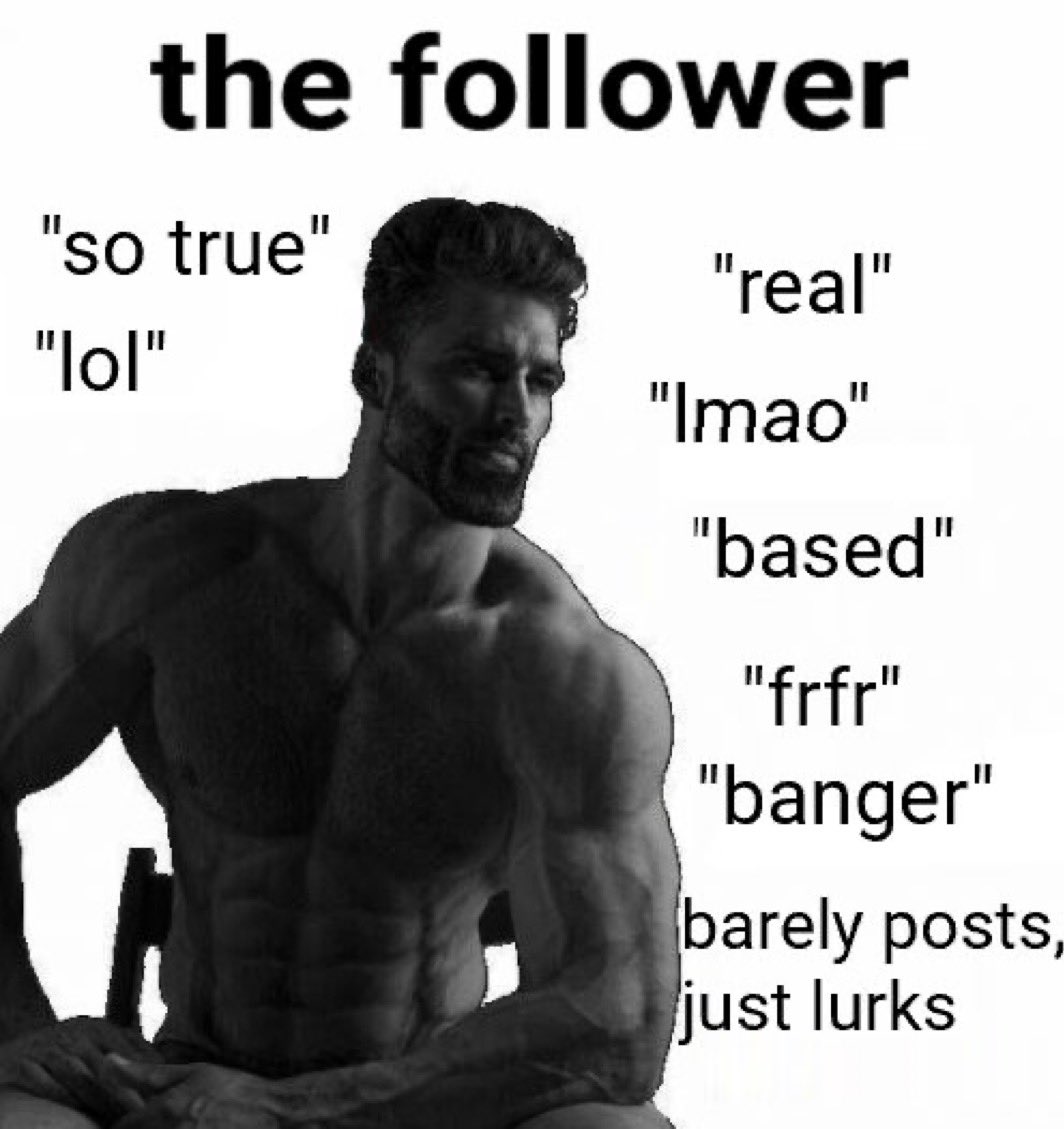 Daily Memes tweet media