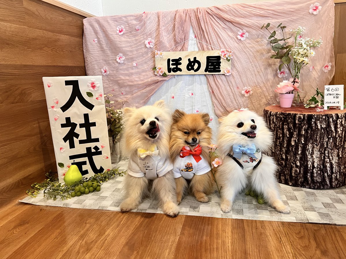 ぽめ屋