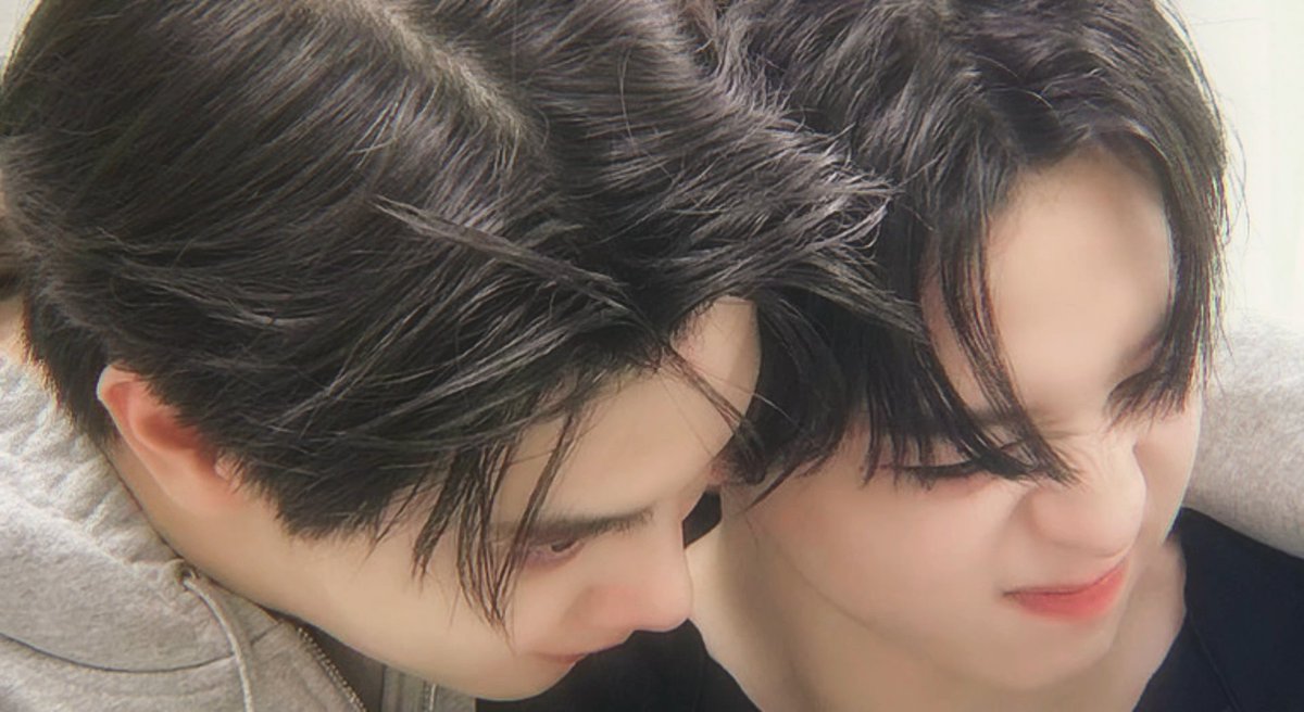 𝐀𝐖𝐒𝐓 🌻 tweet media