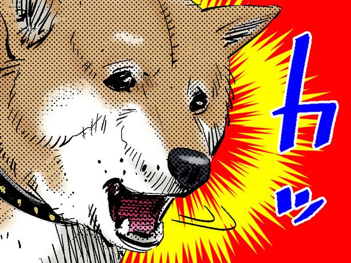 【誕生日記念!!】
本日4月23日は、狩人たちの魂の相棒・リュウの誕生日!!
その肉球で北の大地を踏みしめて、
二瓶、谷垣、チカパシと共に遥かなる旅路を歩んだ忠犬の誕生日を
ぜひアイコンでお祝いしましょう！
#ゴールデンカムイ