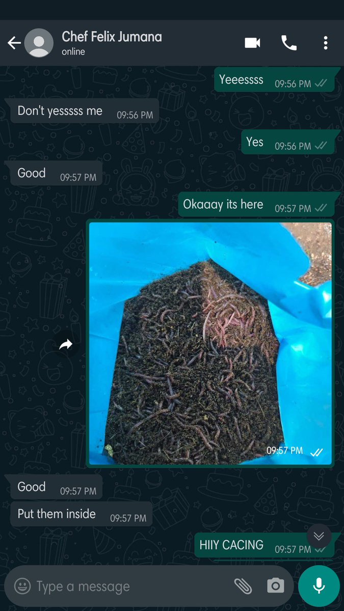 ire. 🪭 (kinda ia) tweet media