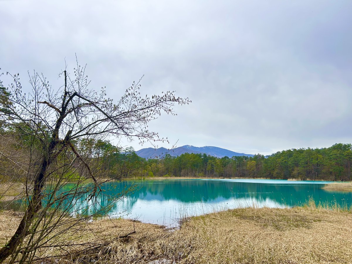 おちゃちゃん tweet media