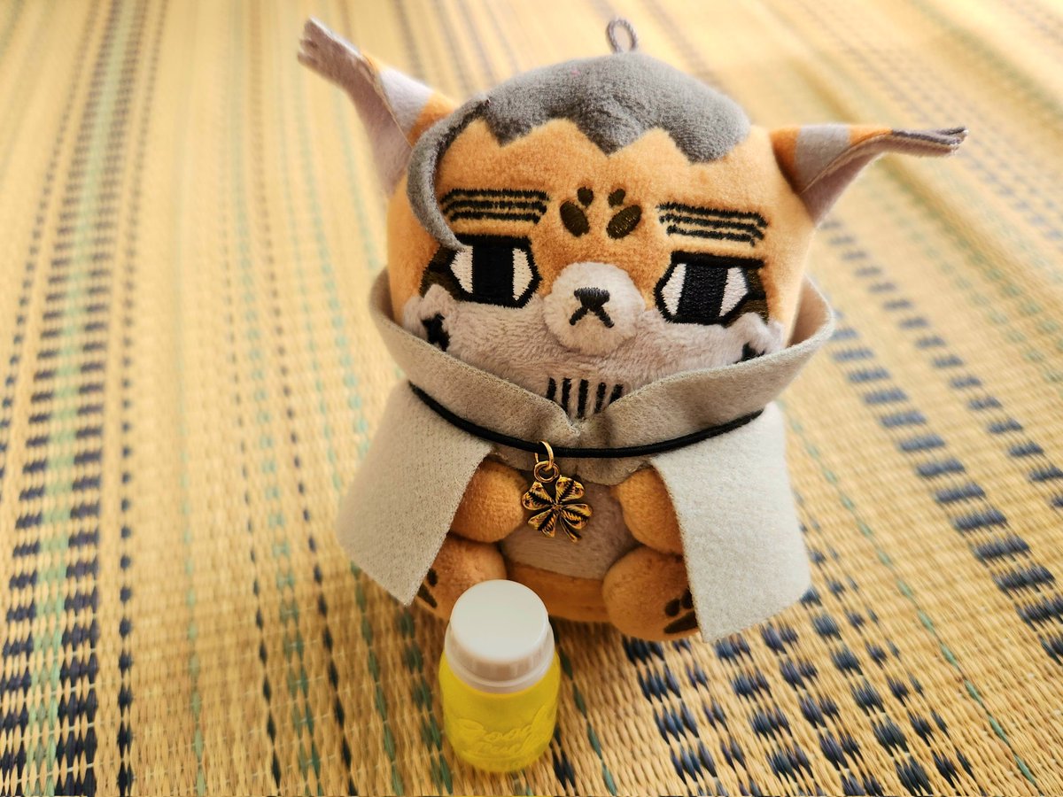 hanai08710's tweet photo. うちのフォゼ尾ちゃん見てくれよ。魂やどってる顔だろ加工してないんだぜ https://t.co/sJGIRU6Vjq