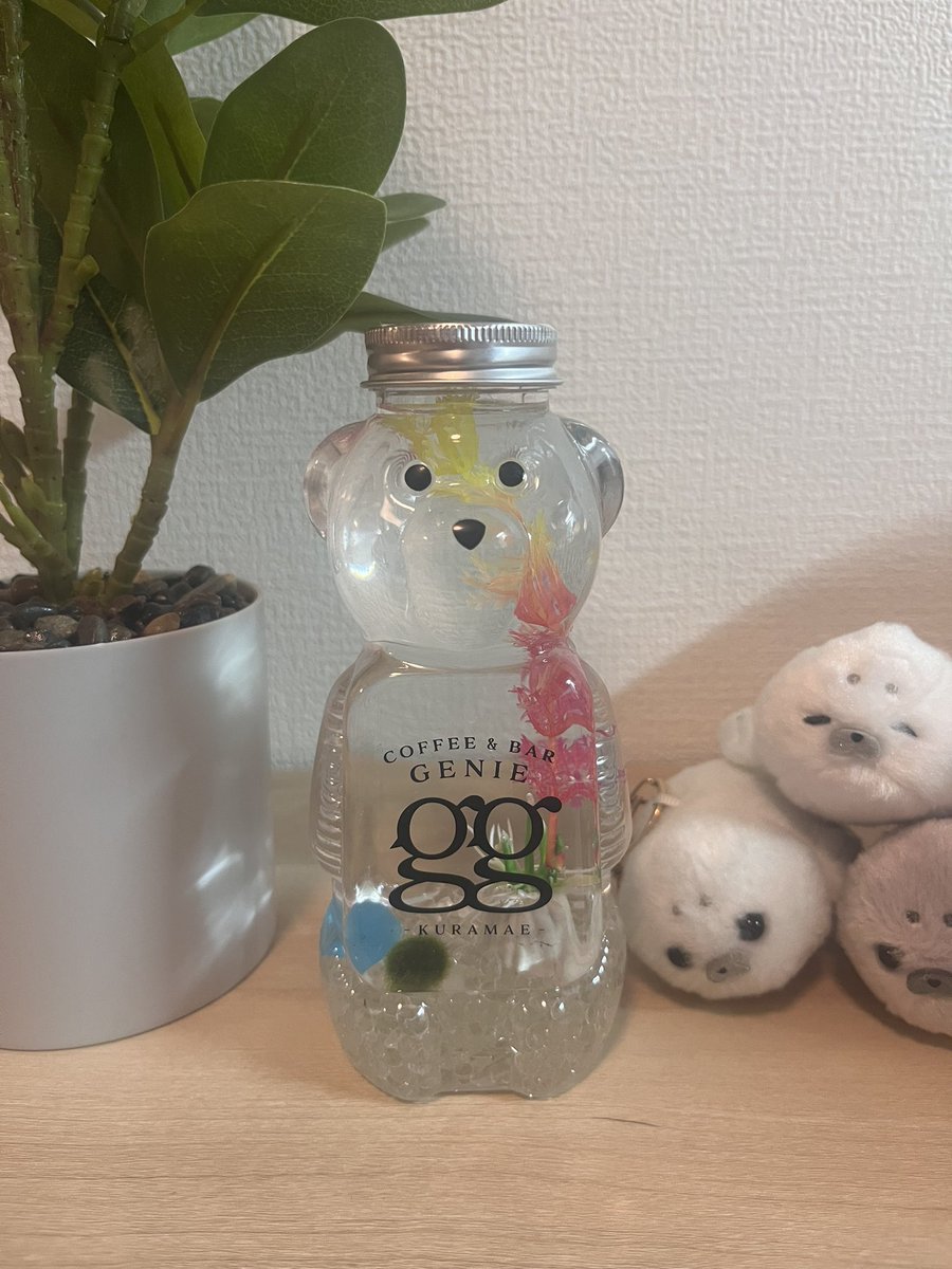 azarashichan_n's tweet image. この前、ついたん連れて蔵前のカフェ行ってきた🦭 くまボトルが可愛すぎて、
その勢いでまりも飼い始めた

名前は「りもちゃん」🌱

#Coffee&amp;amp;BarggGENIE 
#しろたん 
#まりも