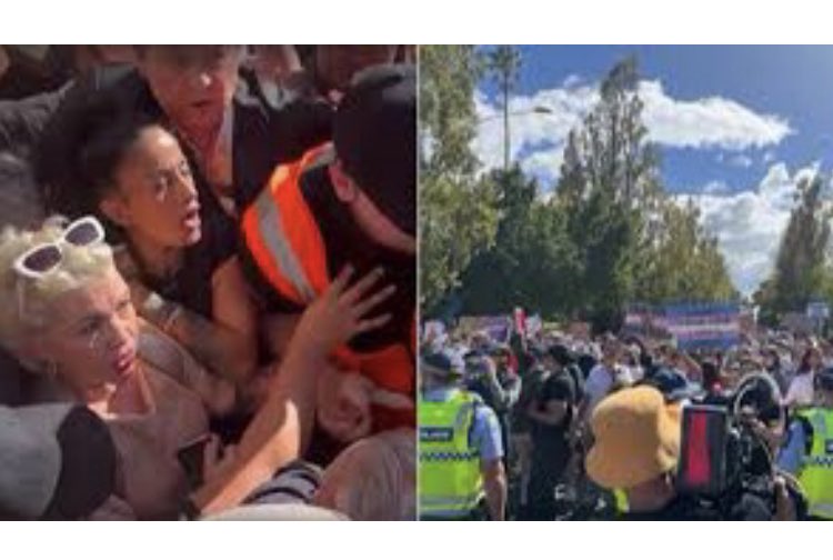 Melissa Martin tweet media