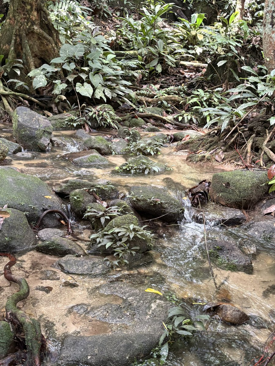 Plants Base tweet media