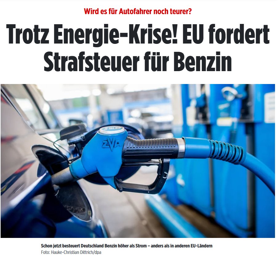 Christine Anderson tweet media