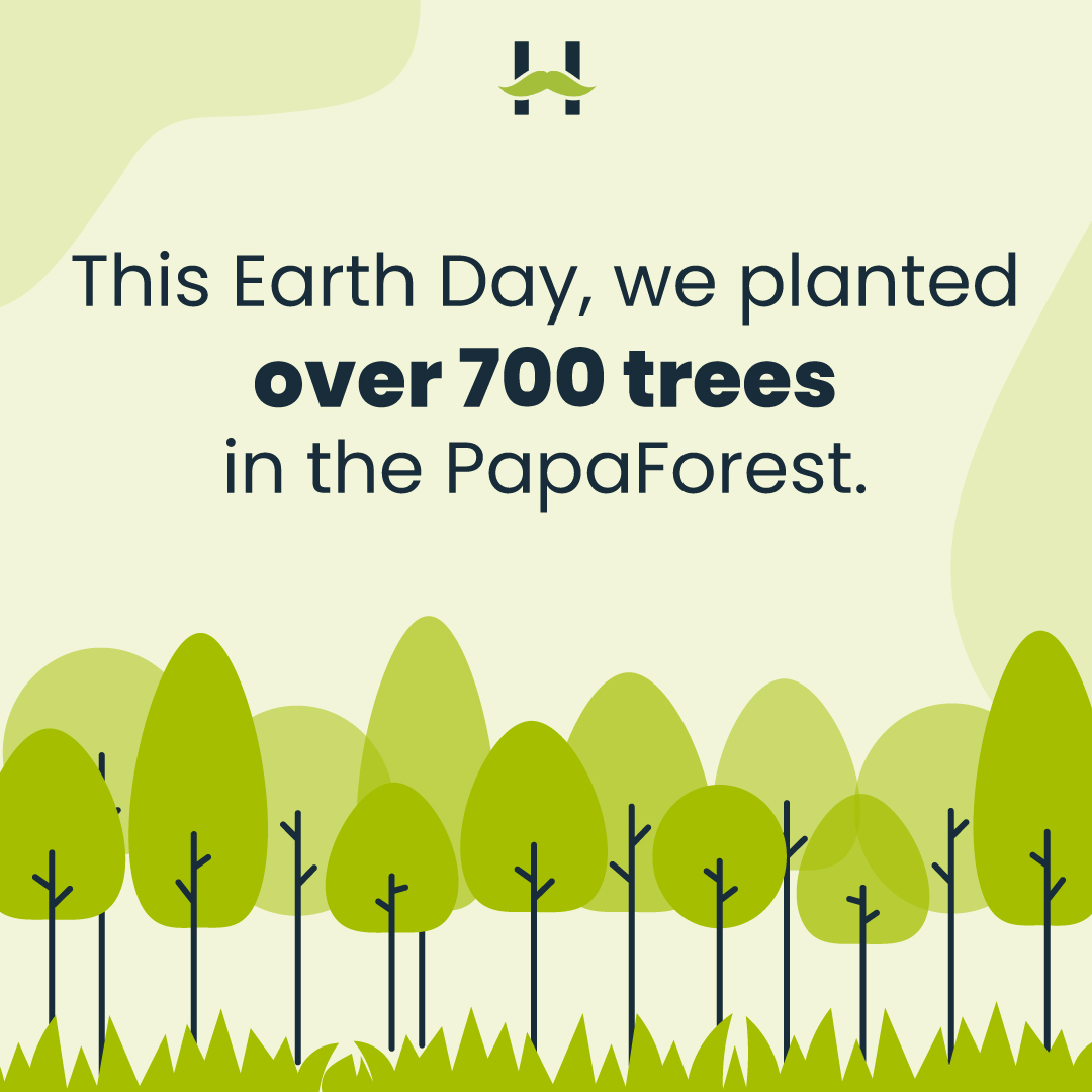 HostPapa tweet media