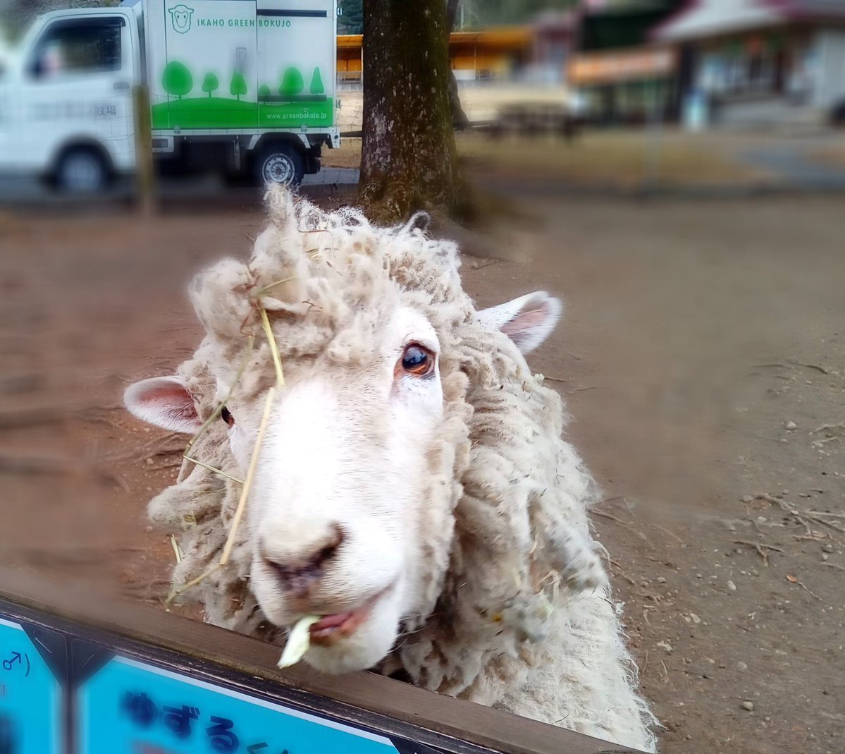 レテやん tweet media